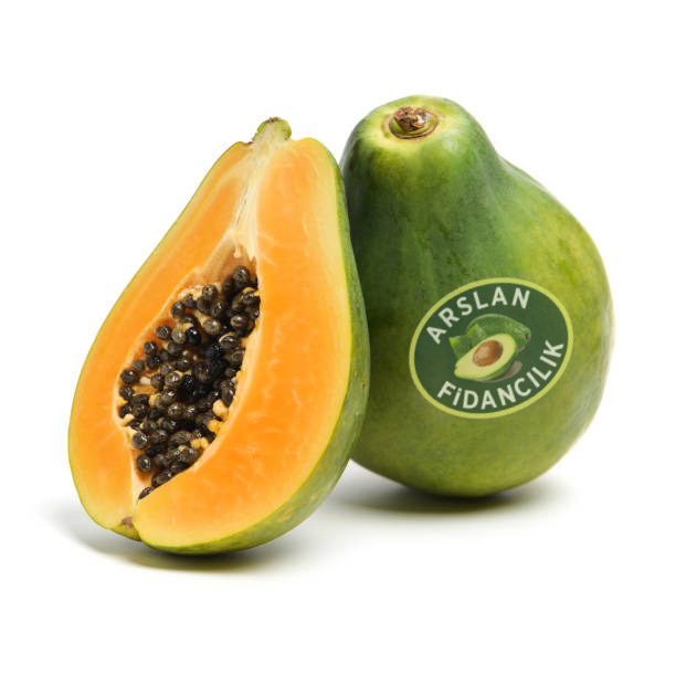 papaya